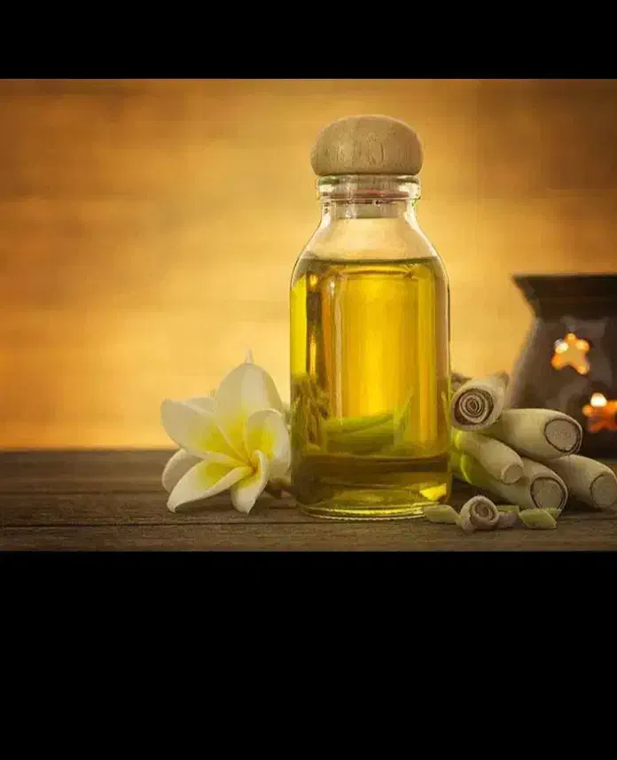 راهنمایی|فعالیت داوطلبانه تحقیقاتی|قم, آذر (نکویی)|دیوار