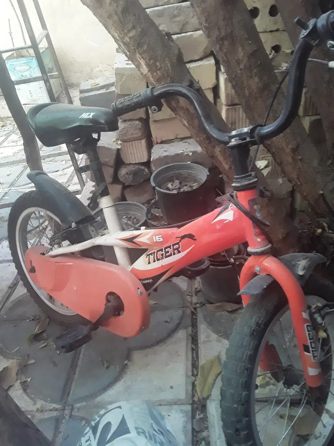 سه چرخه و دوچرخه 16|دوچرخه، اسکیت، اسکوتر|شیراز, گویم|دیوار