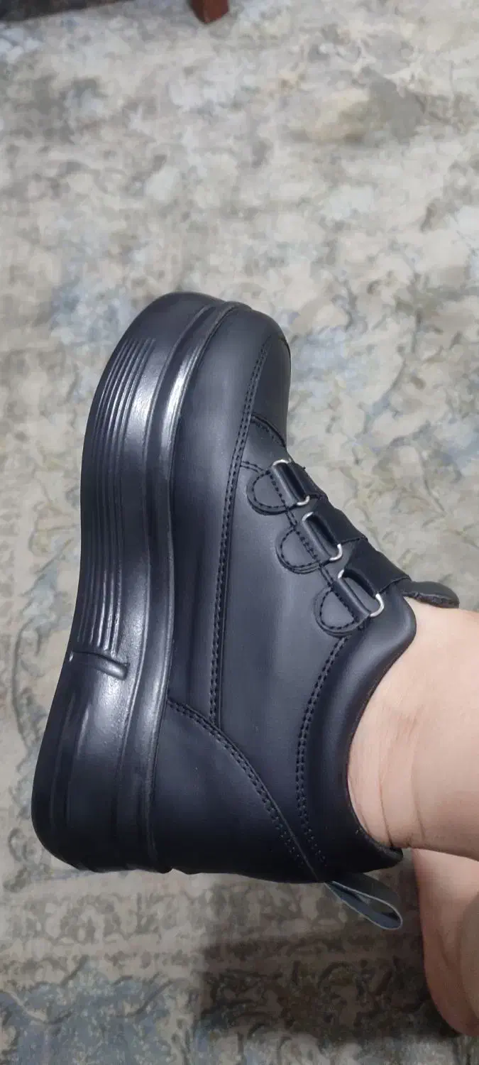 کتونی|کیف، کفش، کمربند|رشت, نظری|دیوار