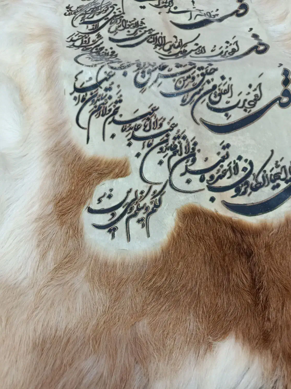 دیوار کوب پوست|تابلو، نقاشی، عکس|ساوه, |دیوار