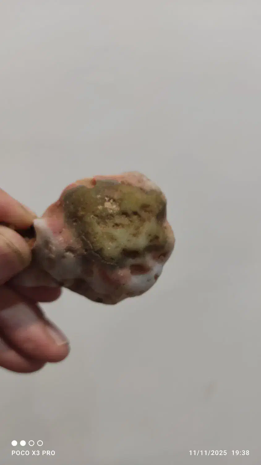 سنگشجر،عقیق سلیمانی ،امیتیس،ژئود برش نخورده توپی|جواهرات|هشتگرد, شهرک ایران خودرو|دیوار