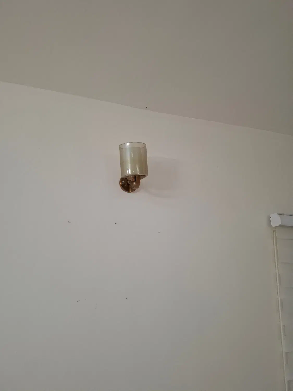 لوستر|لوستر و چراغ آویز|شیراز, قدوسی شرقی|دیوار