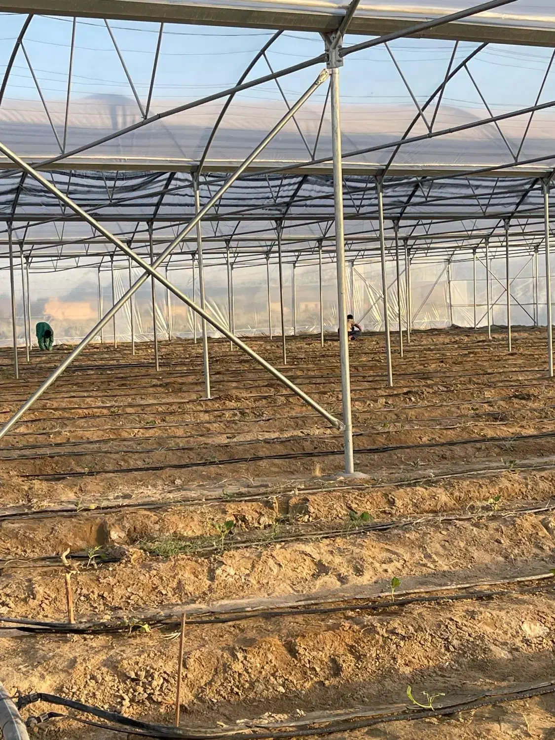 فروش گلخانه همراه با زمین و آب|اجارهٔ دفتر صنعتی، کشاورزی، تجاری|سراوان, |دیوار