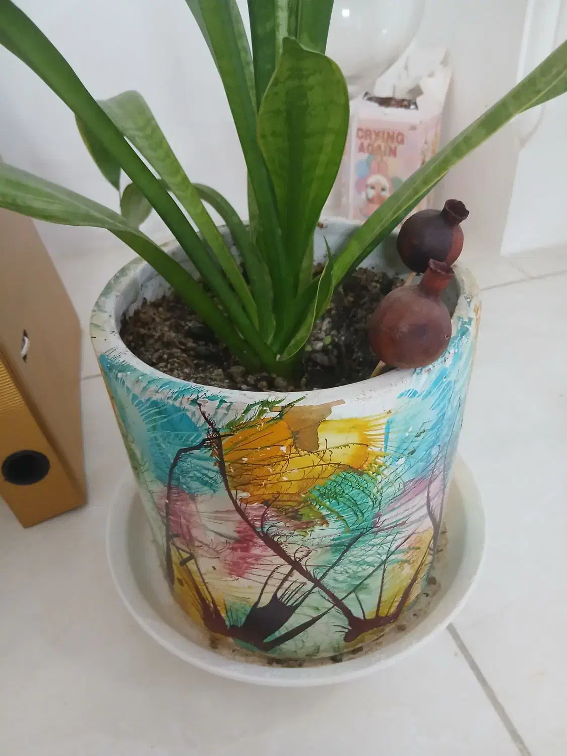 گل طبیعی با گلدون آماده بسیار زیبا|گل و گیاه طبیعی|قم, انسجام|دیوار