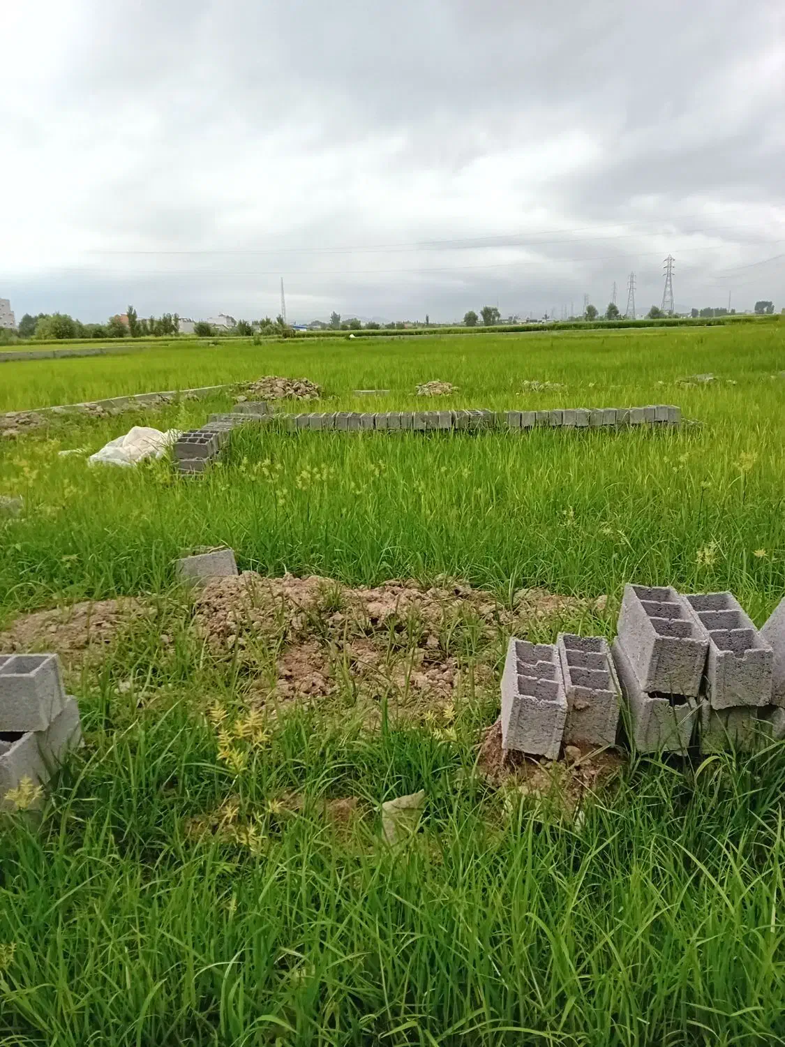 زمینهای تفکیک شده/ پلاک دو خط اصلی|فروش زمین و ملک کلنگی|دابودشت, |دیوار