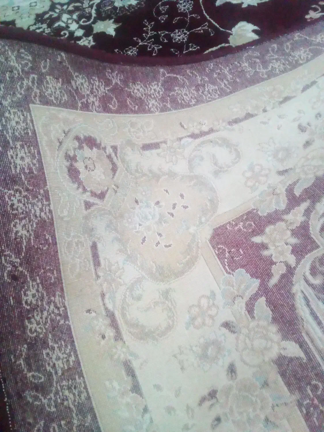 قالی ۶متری دو دانه|فرش|مریوان, |دیوار