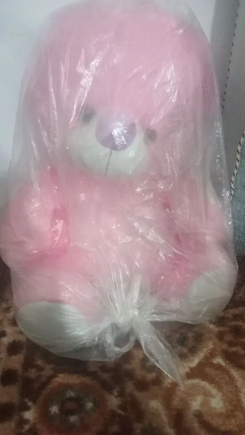 یک خرس عروسک|اسباب‌بازی بچه|ارومیه, |دیوار