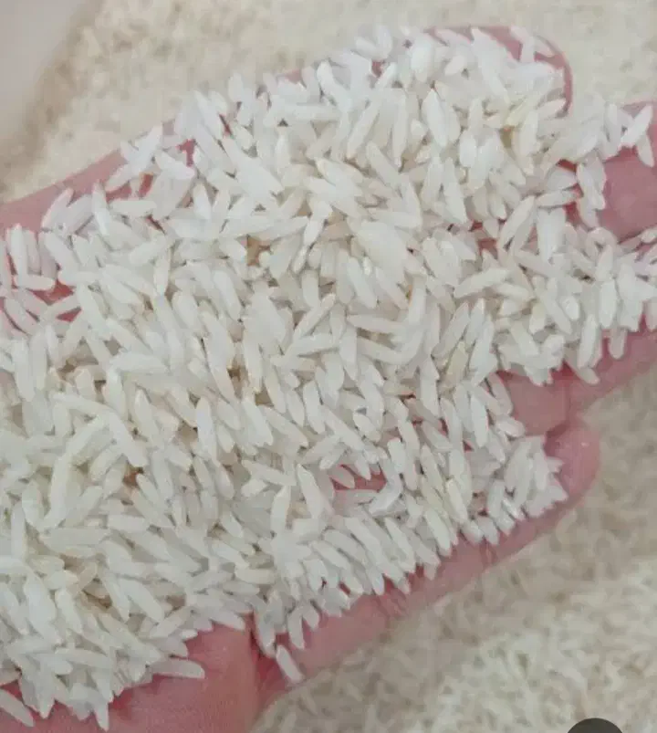 برنج هاشمی درجه یک سورتینگ شده|خوردنی و آشامیدنی|رشت, کوی جام جم|دیوار