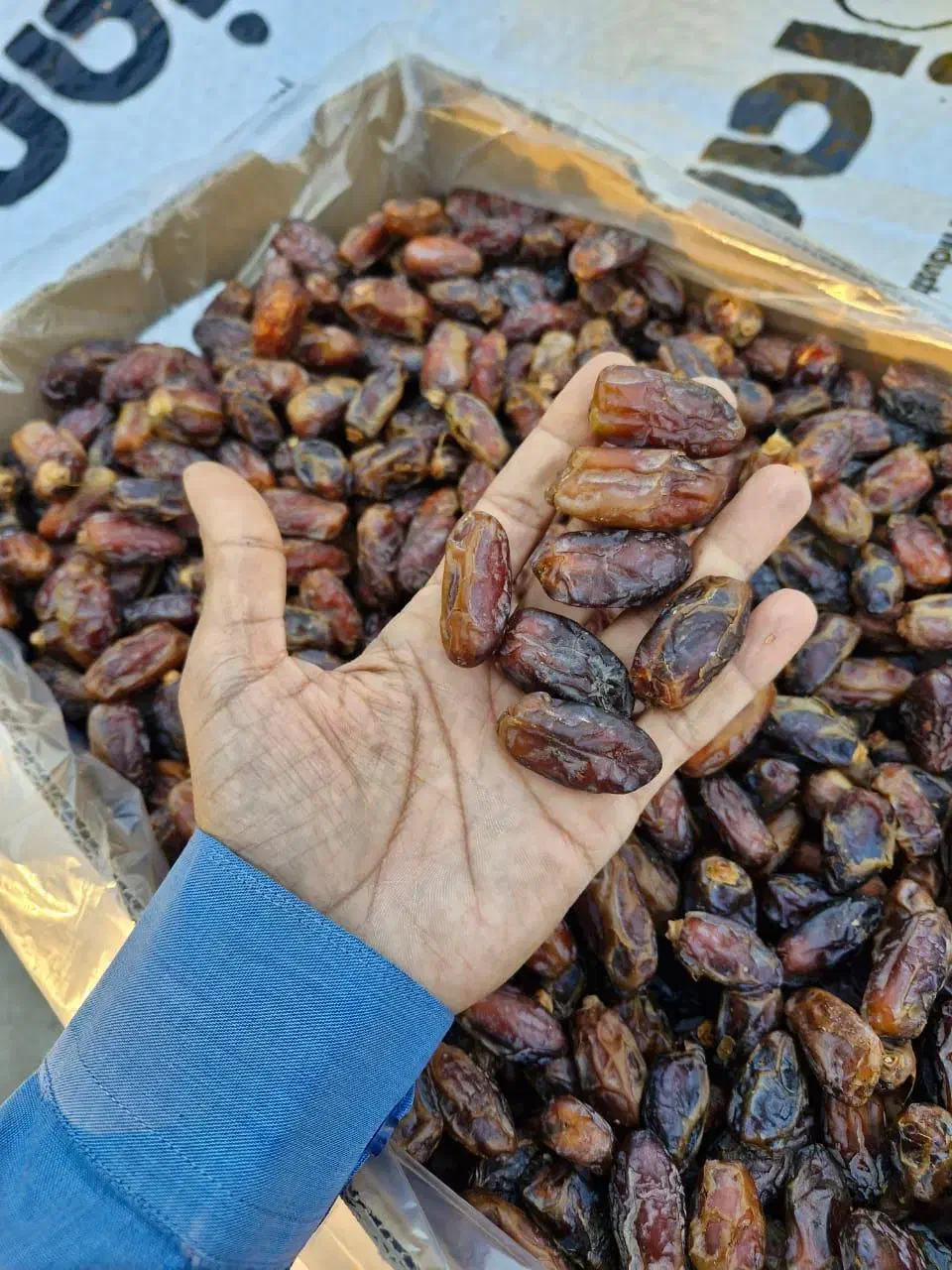 خط تولید خرما شکلاتی(اینروبر و تونل انجماد)|ماشین‌آلات صنعتی|صفادشت, |دیوار