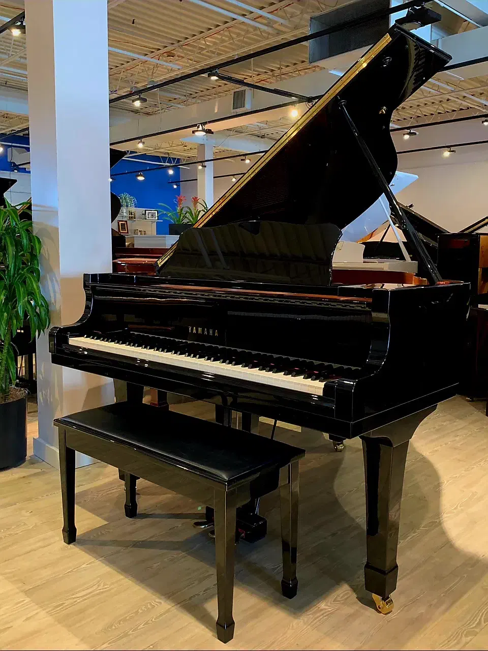 پیانو|پیانو، کیبورد، آکاردئون|کرج, اصفهانی‌ها|دیوار