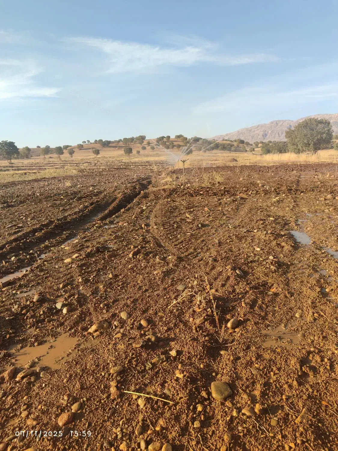 اجاره زمین کشاورزی|اجارهٔ دفتر صنعتی، کشاورزی، تجاری|شاهیوند, |دیوار