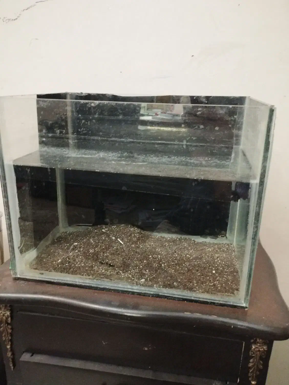 اکواریوم با لوازم|ماهی|تهران, افسریه شمالی|دیوار