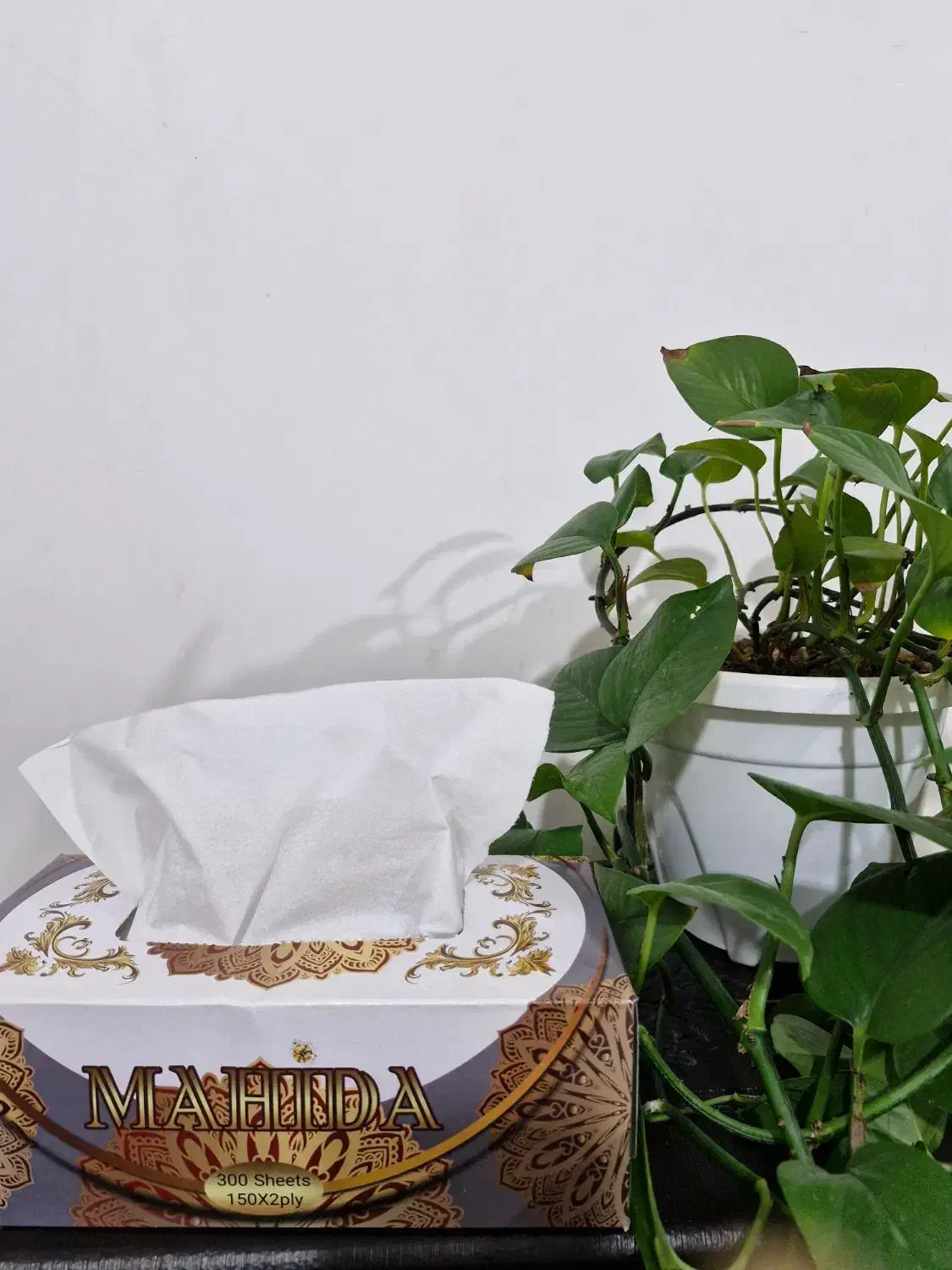 دستمال کاغذی|مواد شوینده و دستمال کاغذی|همدان, |دیوار