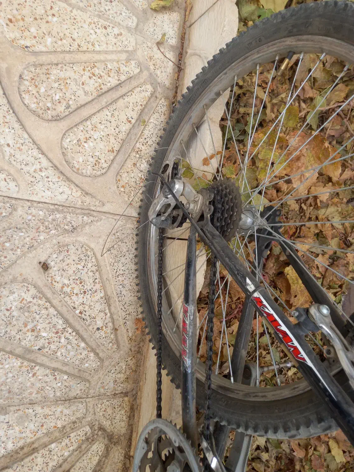 دوچرخه 24|دوچرخه، اسکیت، اسکوتر|بهار, |دیوار