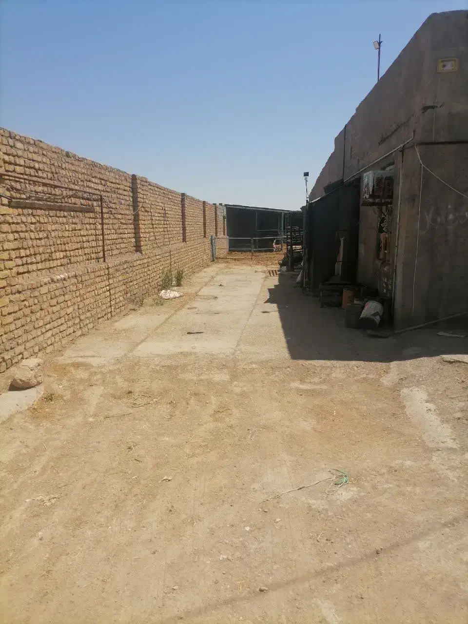 فروش گاوداری|فروش دفتر صنعتی، کشاورزی، تجاری|رضویه, |دیوار