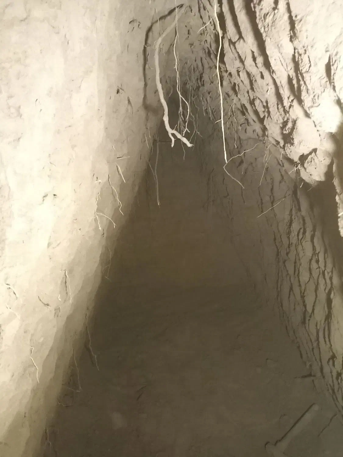 چاه کنی.مغنی|خدمات پیشه و مهارت|قوچان, |دیوار