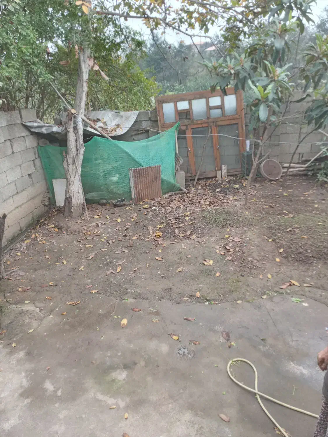 اجاره ویلا حیاط مشترک|اجارهٔ خانه و ویلا|ماسال, |دیوار