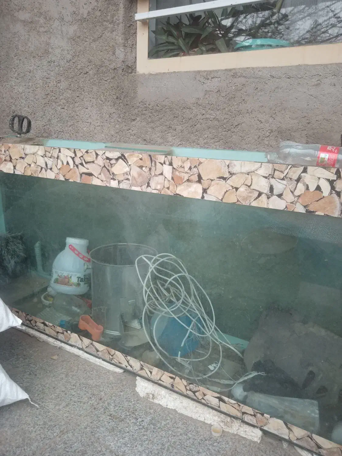 اکواریوم|ماهی|نیشابور, ده حلاج|دیوار