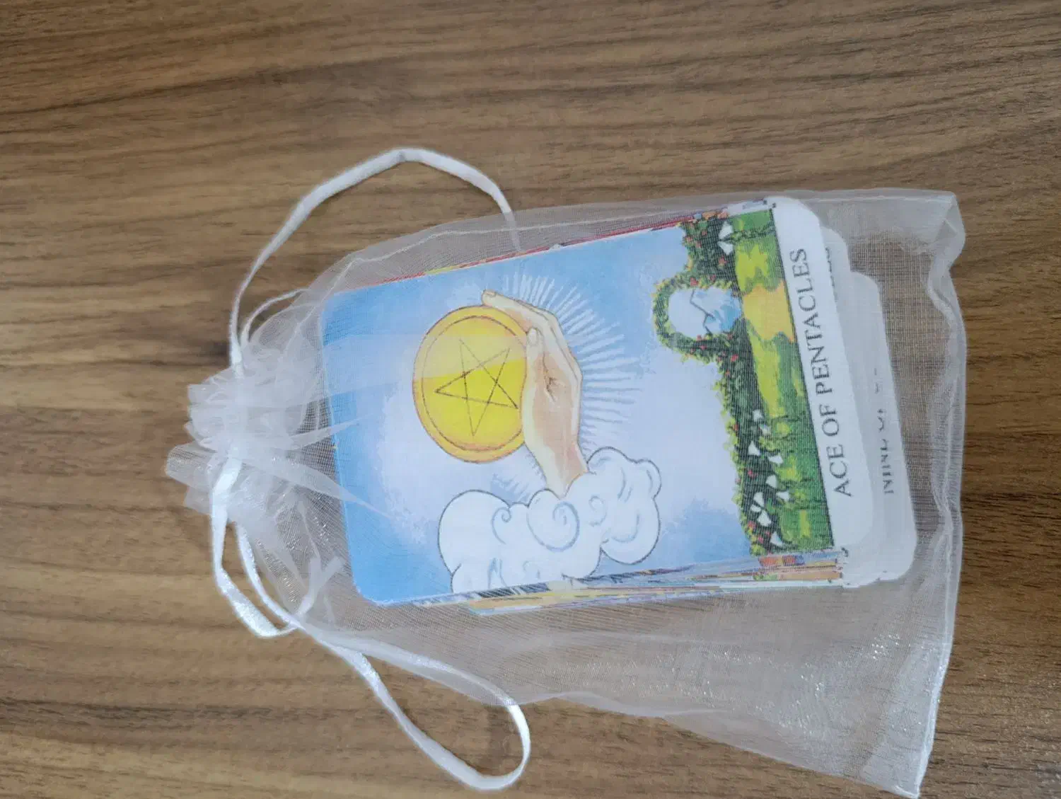 کارت تاروت آموزشی نو|کلکسیون و سرگرمی|پرند, فاز ۴|دیوار