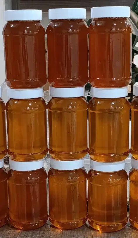 عسل چندگیاه|خوردنی و آشامیدنی|تهران, قنات‌کوثر|دیوار