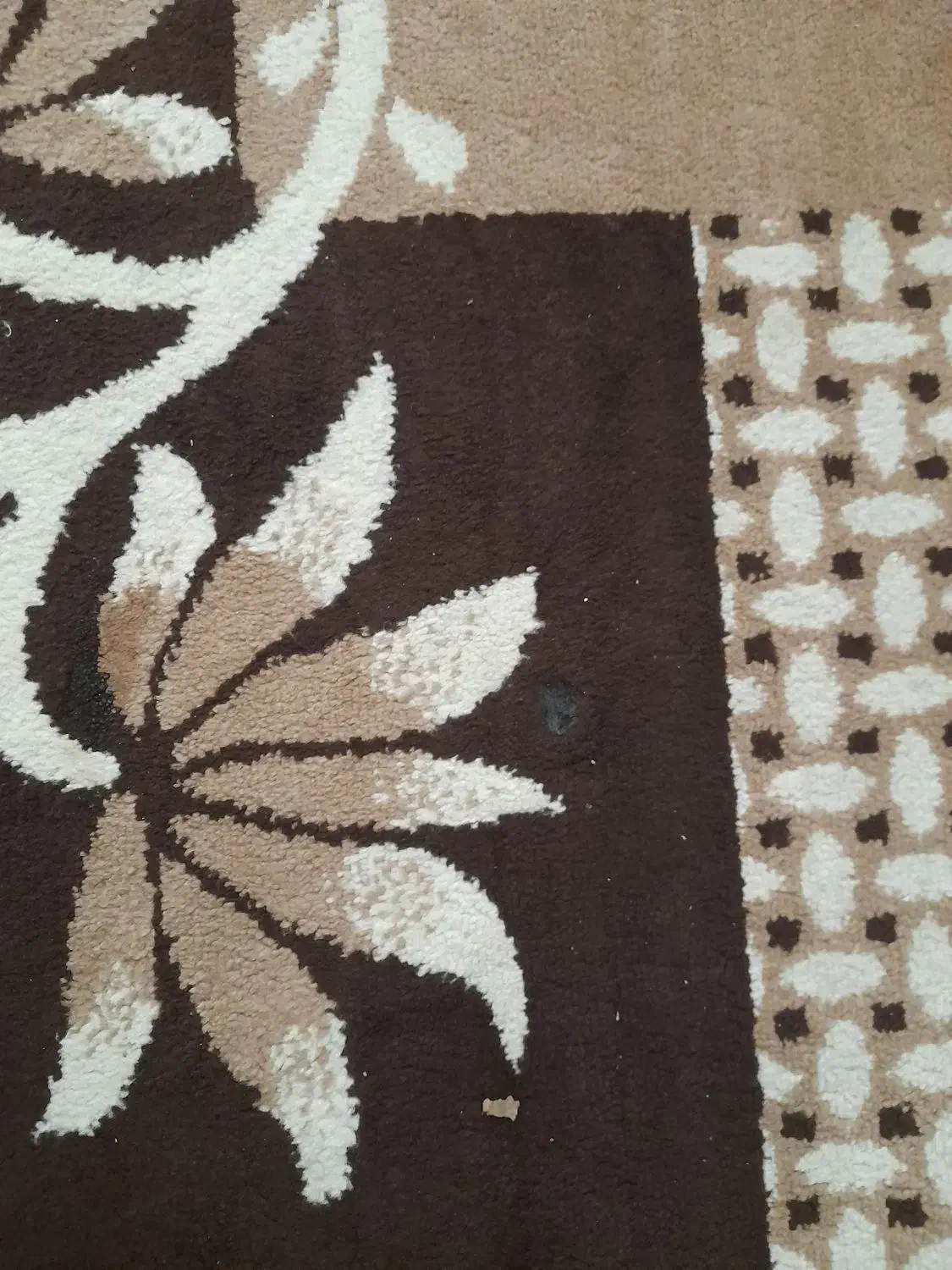 قالی فانتزی ۴ متری سه جاش سوختگی داره|فرش|شیراز, مسلم|دیوار