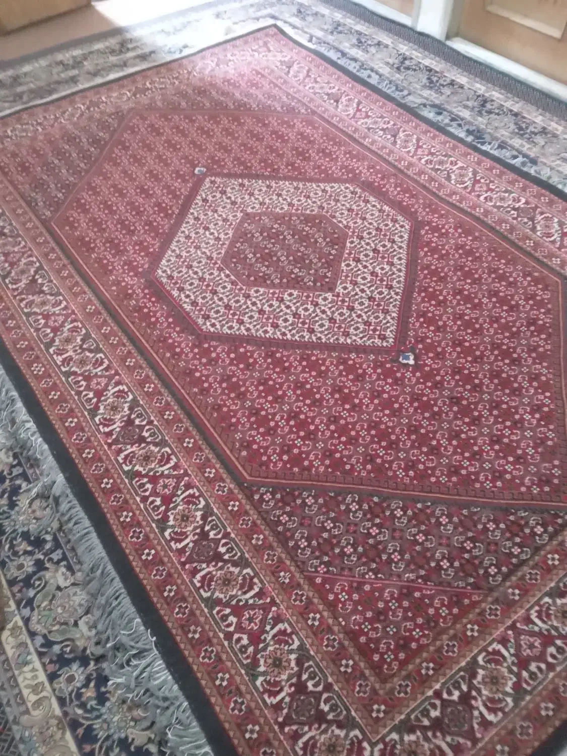 یک تخته فرش ۶ متری زنجان|فرش|زنجان, |دیوار