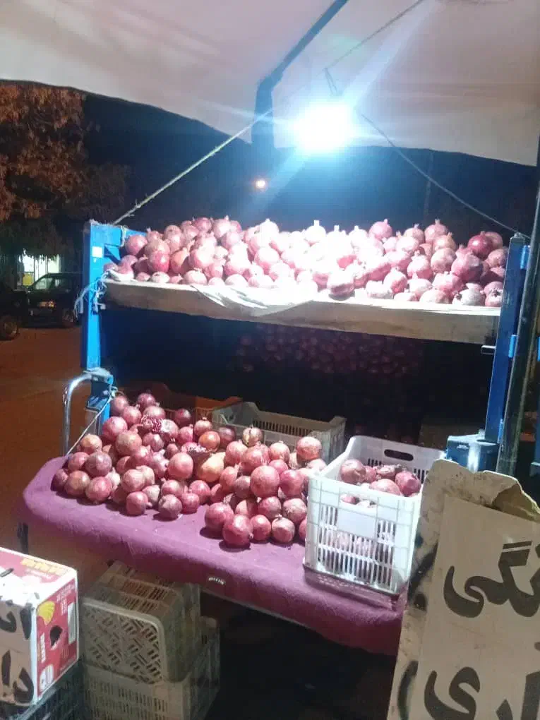 نیسان اپشنال مدل ۱۴۰۱|خودرو سواری و وانت|بیجار, |دیوار