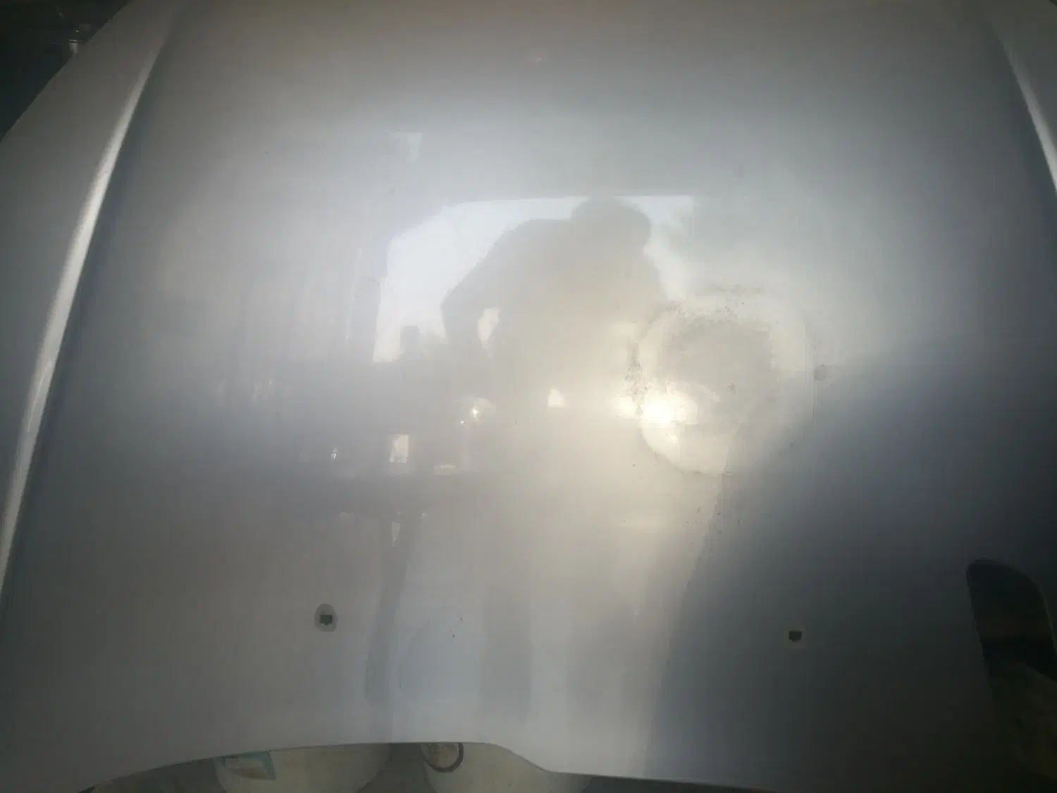 کاپوت فابریکی 206|قطعات یدکی و لوازم جانبی|شیراز, نصر|دیوار