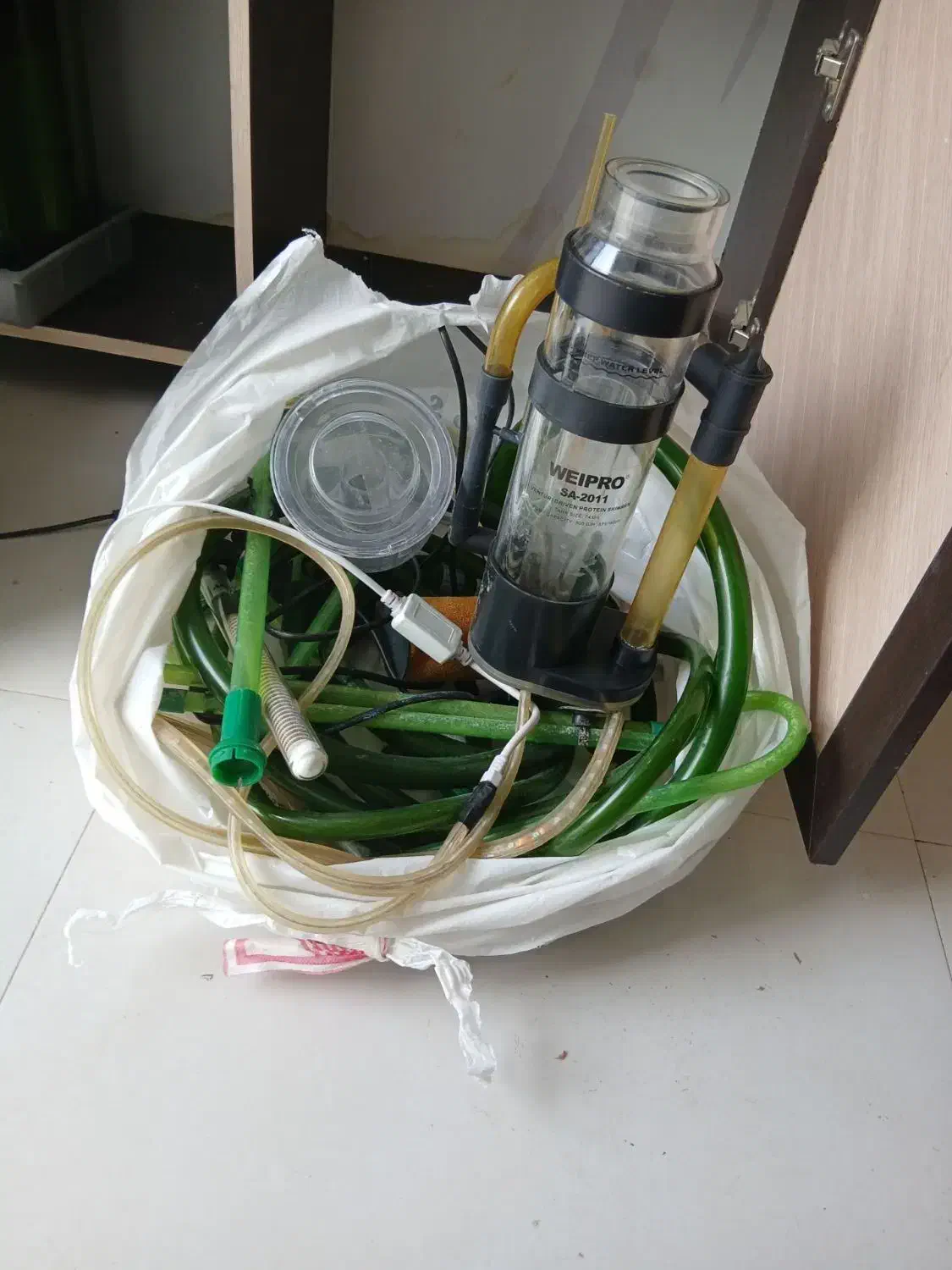 آکواریوم|ماهی|اردبیل, |دیوار