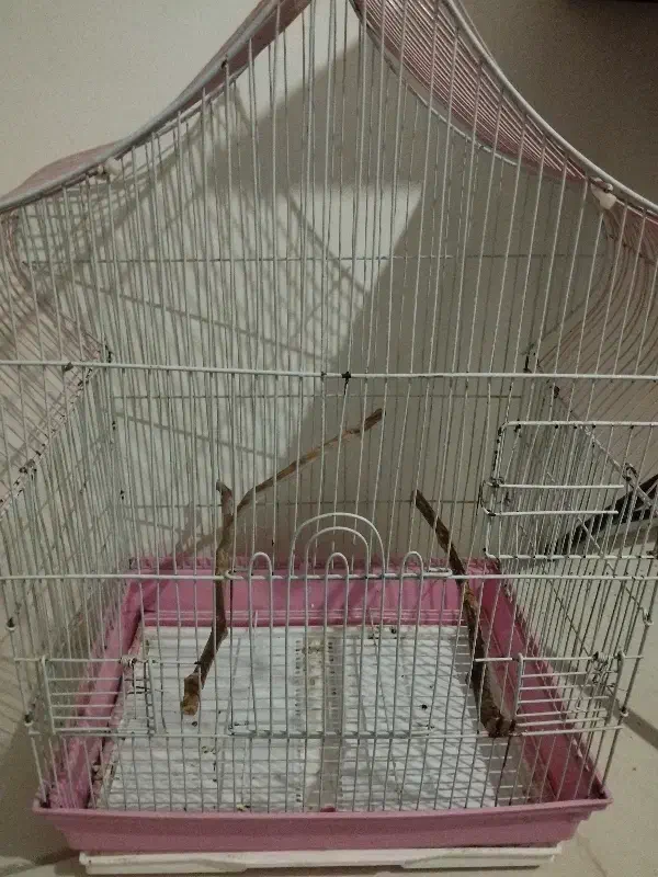 قفس|لوازم جانبی حیوانات|هشتگرد, شهرک افشاریه|دیوار