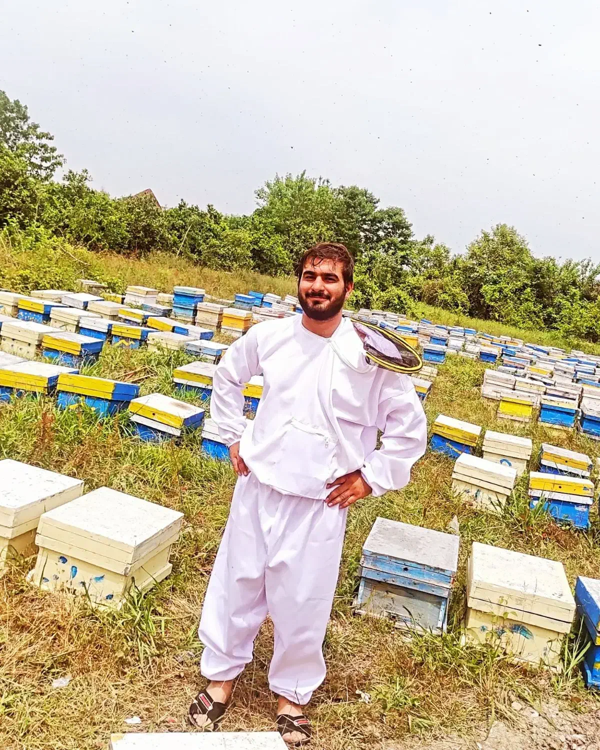 عسل گون گز ، جزئی و کلی|خوردنی و آشامیدنی|نجفآباد, جلال آباد|دیوار