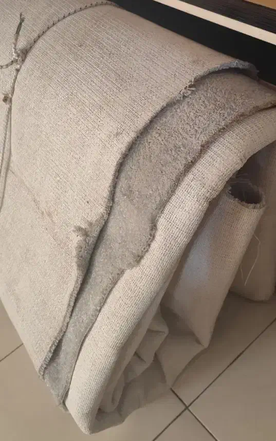 فرش تدی 16متری|فرش|بابلسر, |دیوار