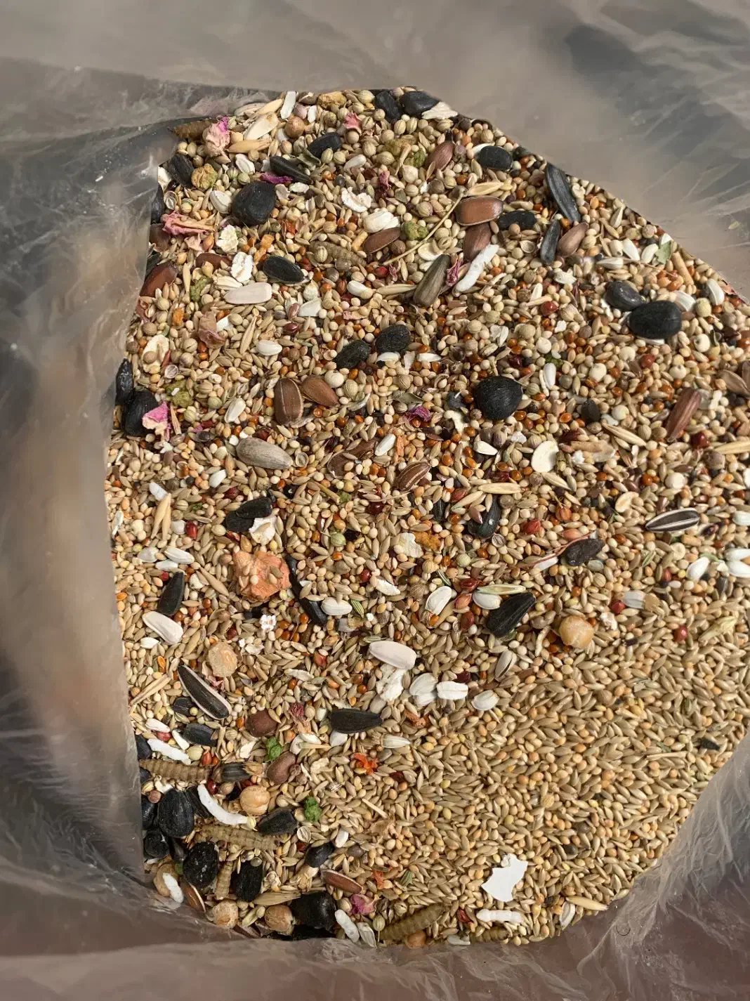 قفس و لونه پرنده|لوازم جانبی حیوانات|قزوین, |دیوار