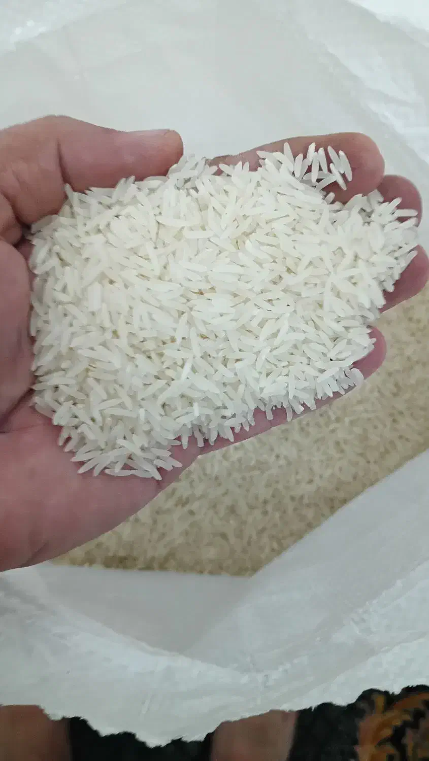 برنج دم سیاه|خوردنی و آشامیدنی|مهدی شهر, |دیوار