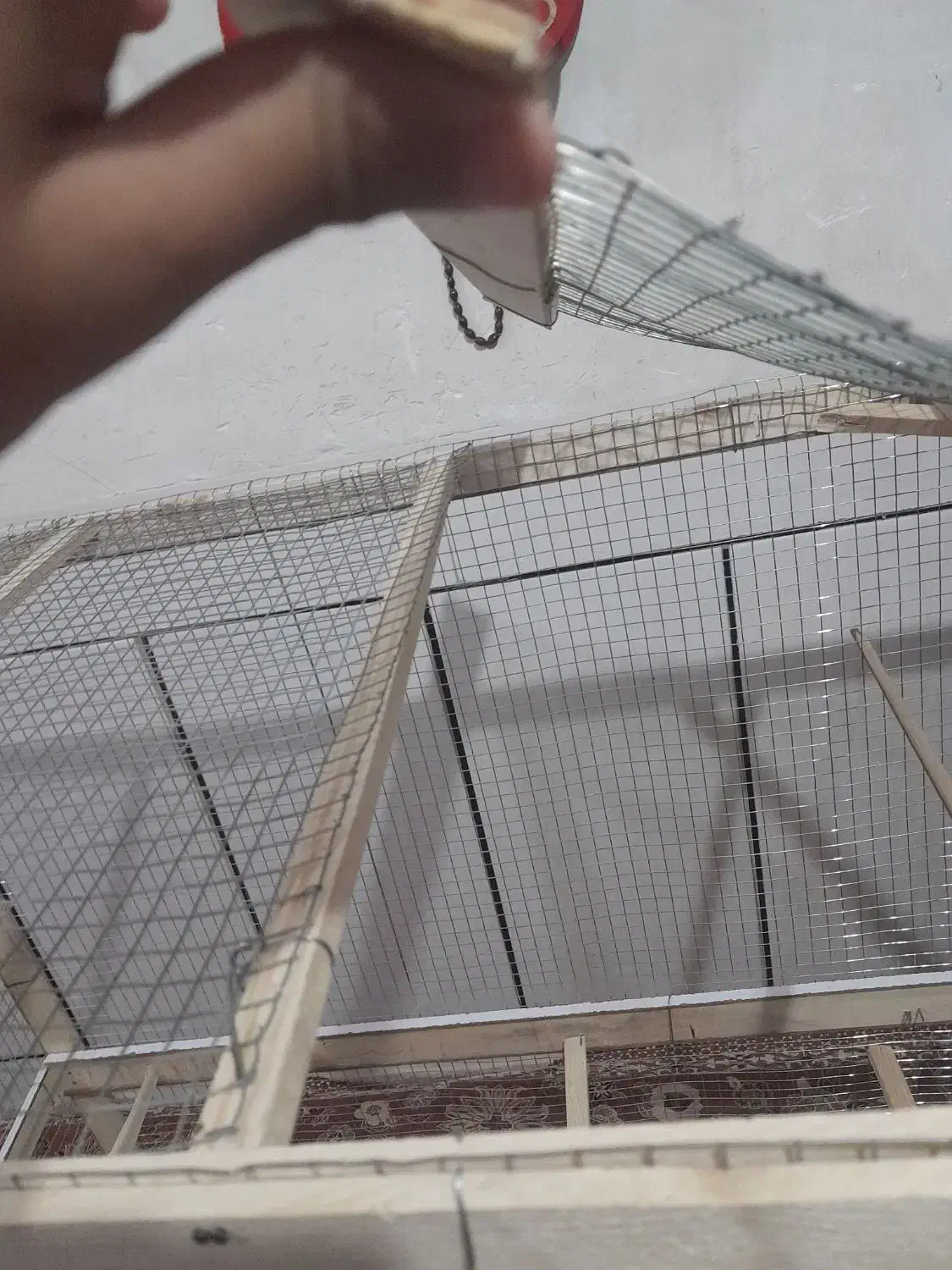 قفص|لوازم جانبی حیوانات|امیدیه, |دیوار