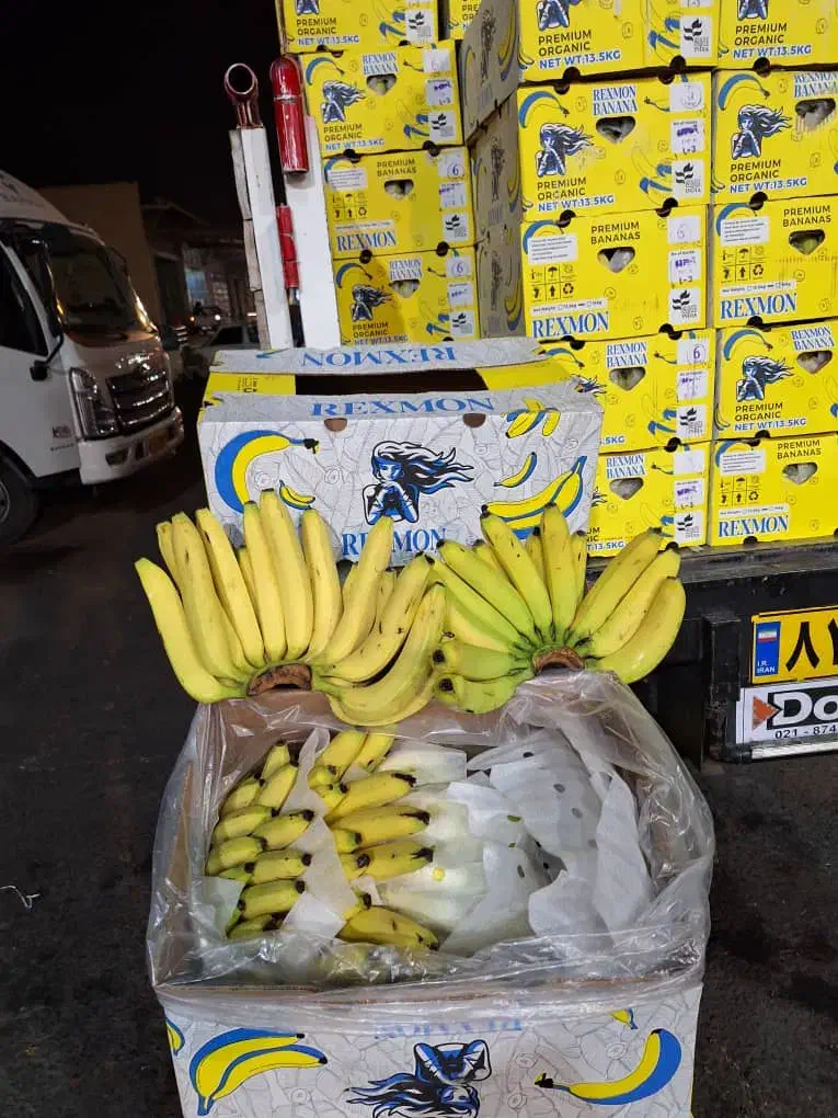 موز|عمدهفروشی|الوند, |دیوار