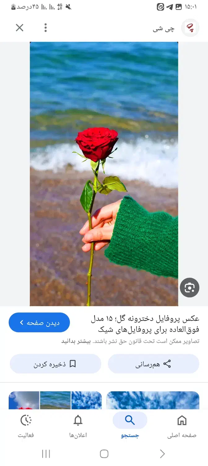 گل فروشی گل رز ...نوبت دهی تامین اجتماعی|گل و گیاه طبیعی|دورود, |دیوار