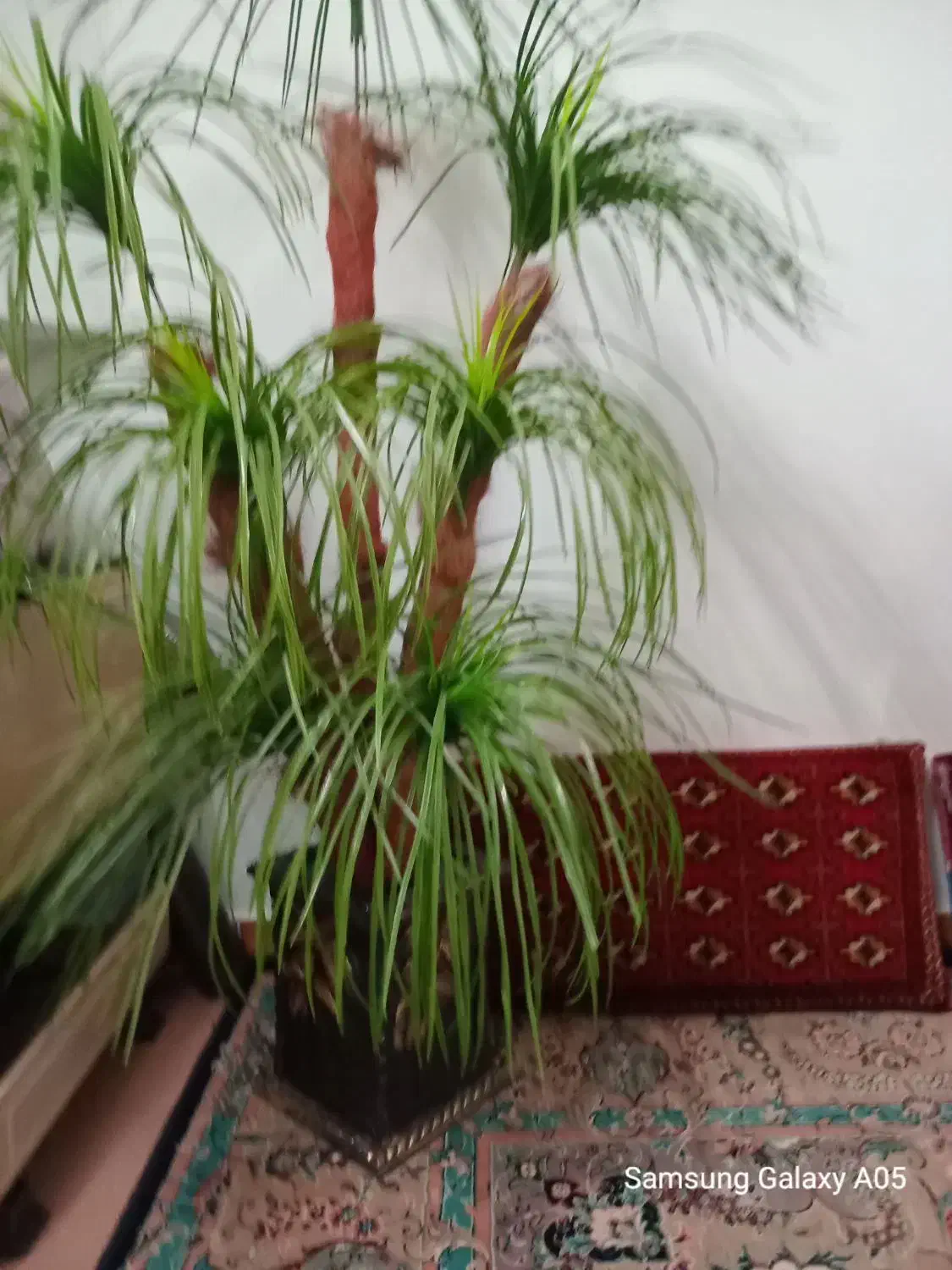 گل مصنوعی و لوازم منزل|گل مصنوعی|قوچان, |دیوار