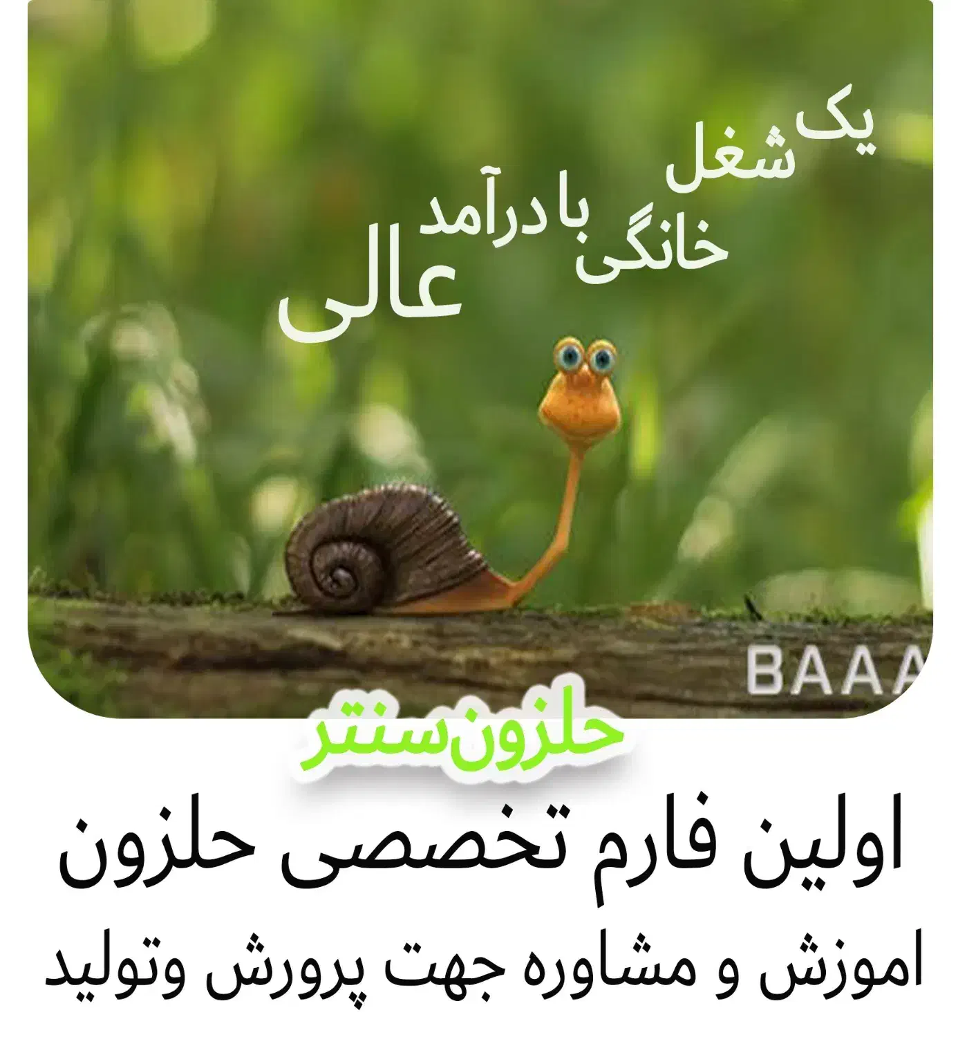 طراحی گرافیک|خدمات رایانهای و موبایل|گرگان, |دیوار