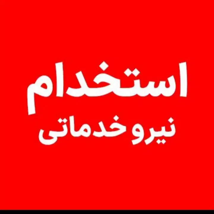 تعریف اشپز ماهر|فعالیت داوطلبانه تحقیقاتی|قم, آزادگان|دیوار