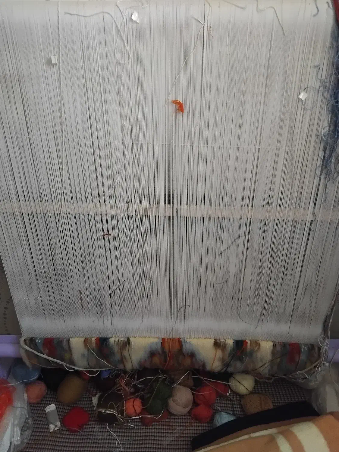 قالیچه نیمه کاره استاد بافت|فرش|ابهر, |دیوار