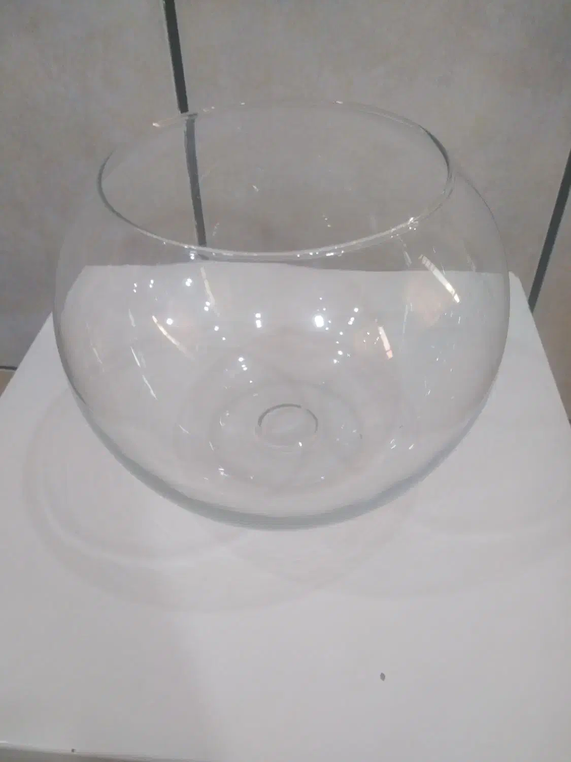 تنگ ماهی|ماهی|ماهورمیلاتی, |دیوار