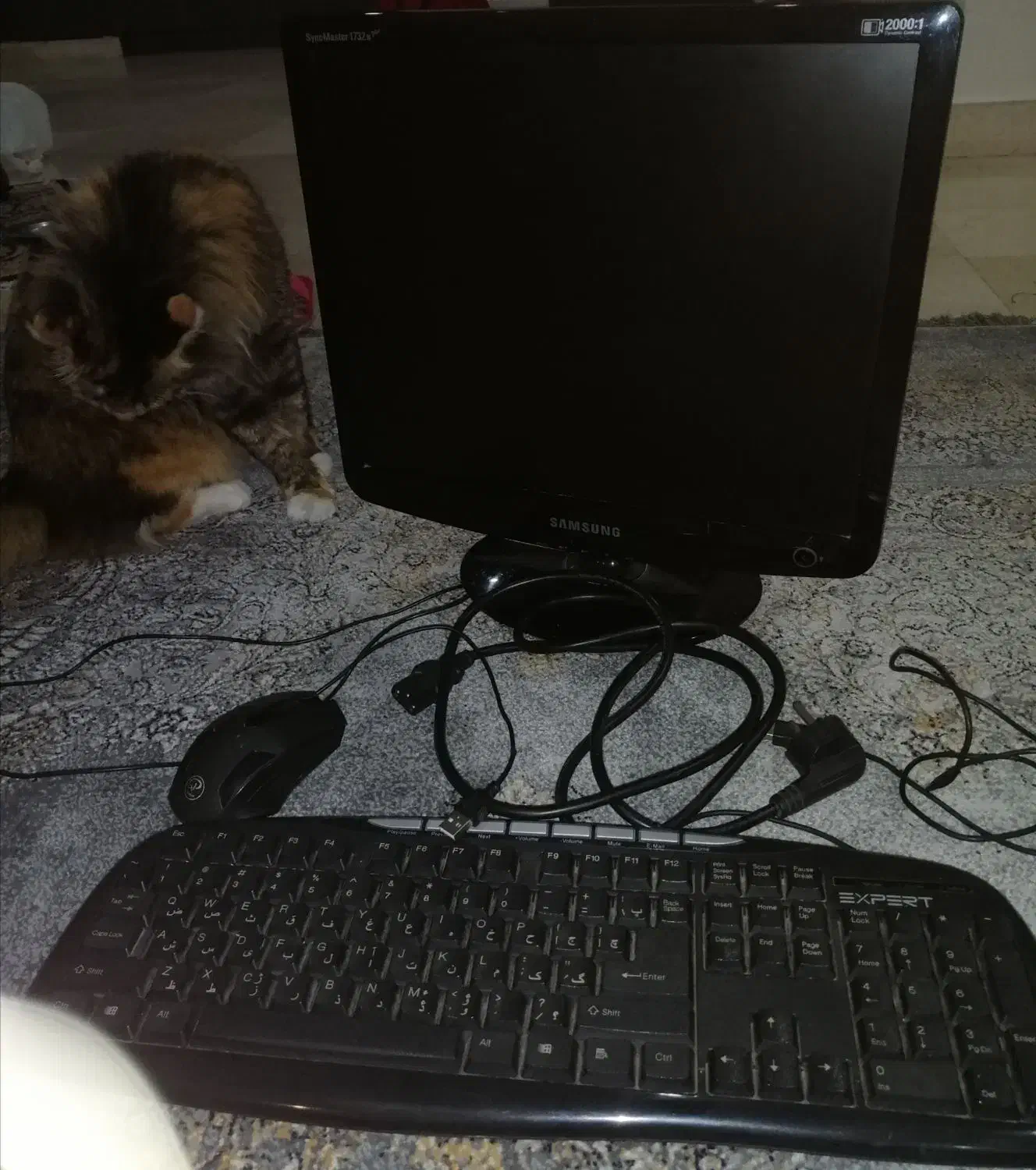 مانیتور کیبورد موس|رایانه رومیزی|تهران, پونک|دیوار