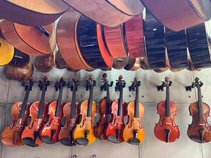 ویولن مبتدی و حرفه ای|ویولن|مبارکه, |دیوار