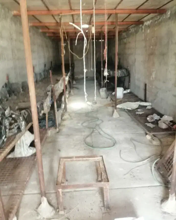 زمین|فروش زمین و ملک کلنگی|نگار, |دیوار