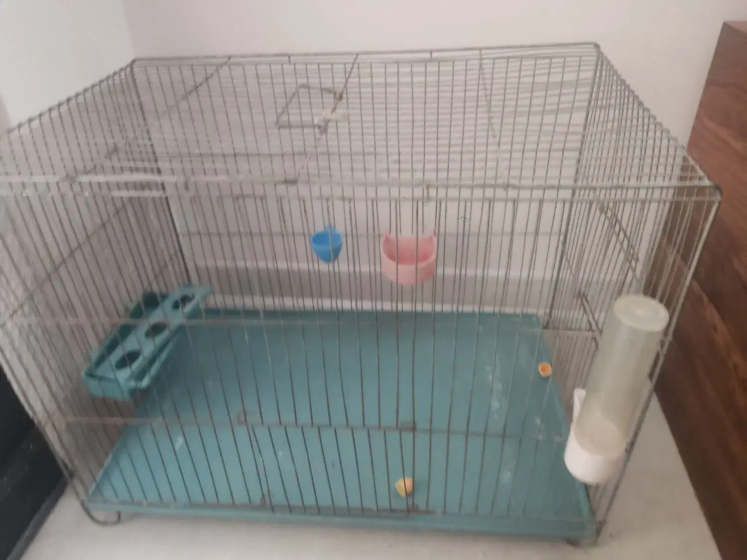 قفس عروس هلندی و غیره|لوازم جانبی حیوانات|ری, اقدسیه|دیوار