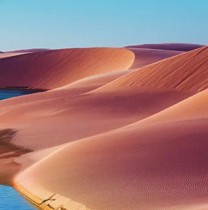 مدارک|اشیا|تربت جام, معدآباد|دیوار