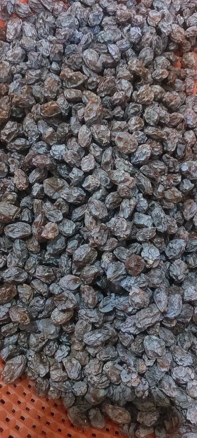 مویز بش دشمن زیاری|خوردنی و آشامیدنی|شیراز, میانرود|دیوار