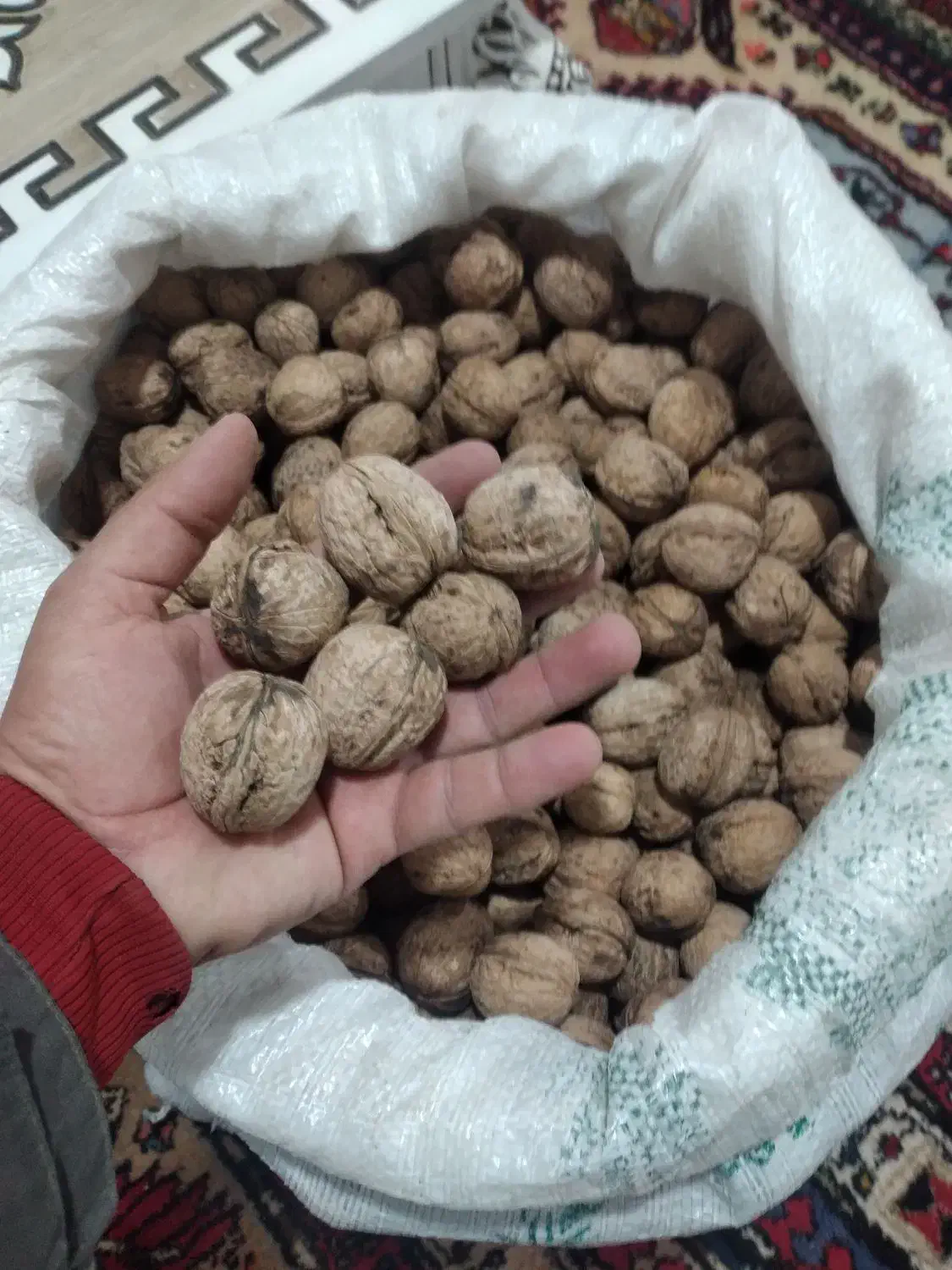 گردو کاغذی فوق اعلا درجه یک|خوردنی و آشامیدنی|ارشق, |دیوار