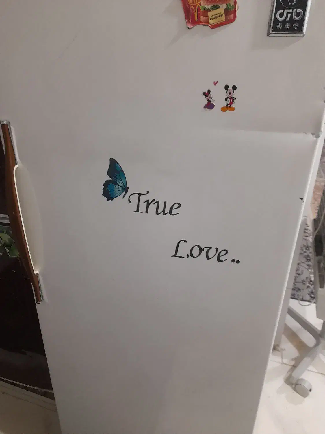 فریزر|یخچال و فریزر|فریدونشهر, |دیوار